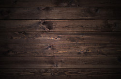 Tapeta Drevo 29417 - samolepiaca na stenu